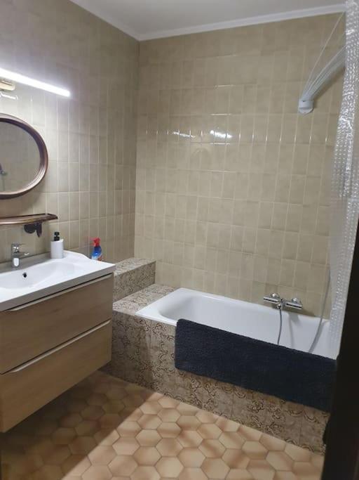 Appartement F3 Meuble Et Equipe Saint-Cyprien Kültér fotó